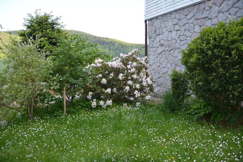 Sadyba Karpatiya Yaremche Exterior photo